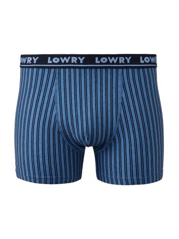 Трусы боксеры Lowry MSHL-5464 сине-голубые