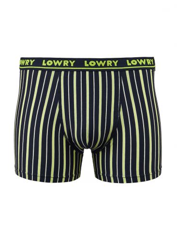 Трусы боксеры Lowry MSHL-5464 сине-лимонные
