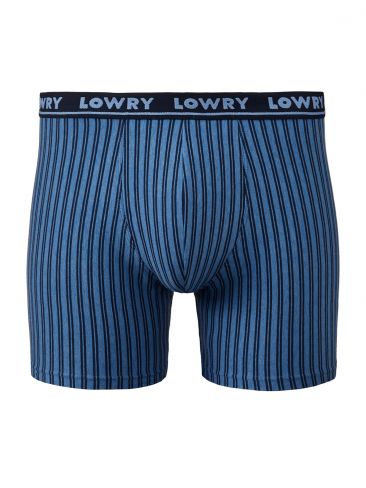 Трусы боксеры Lowry MSHL-5466 сине-голубые удлиненные